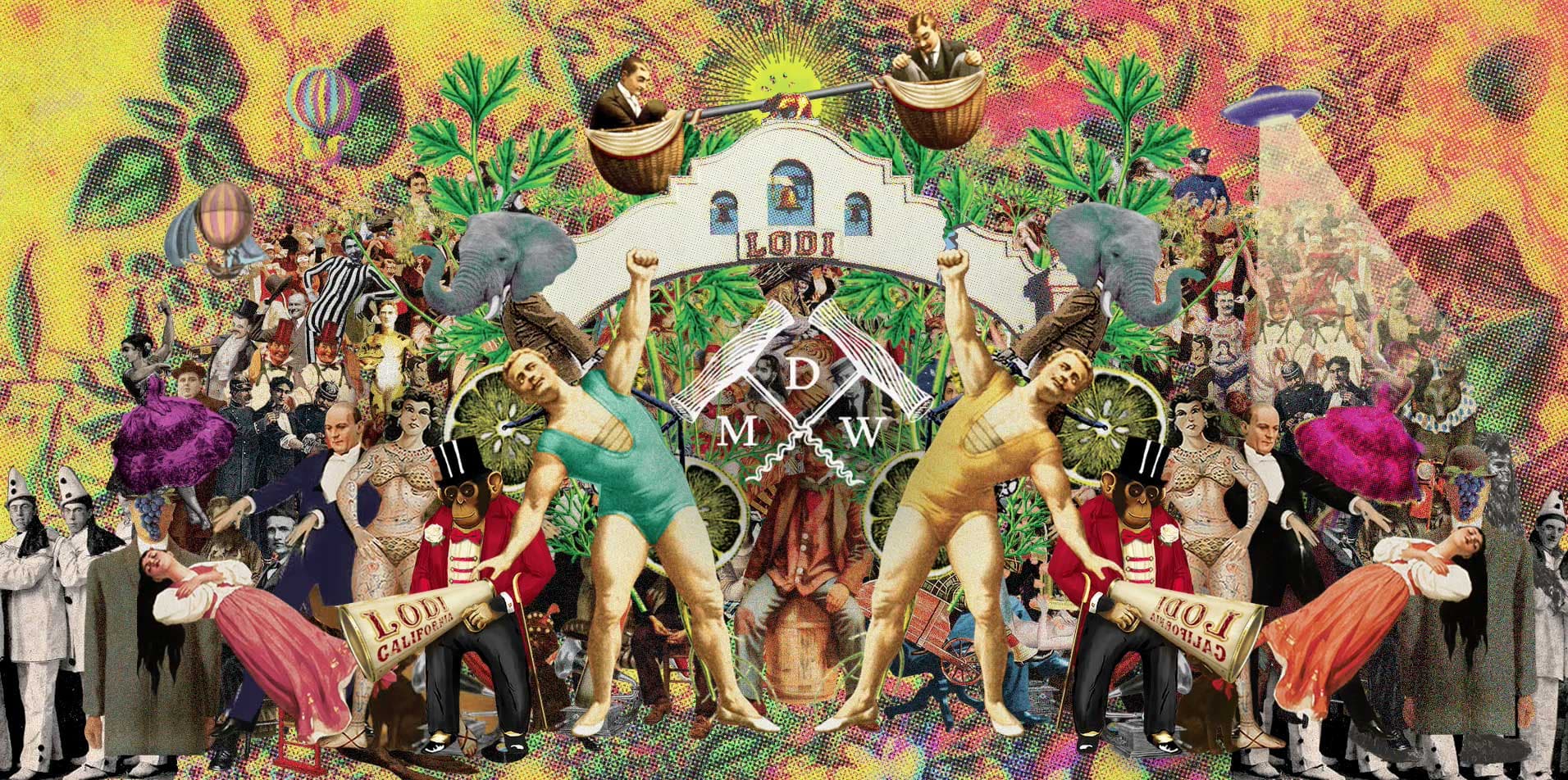 Michael David Winery